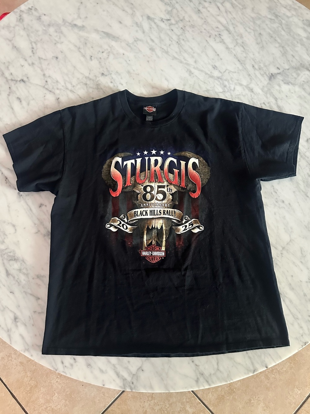 Harley-Davidson Sturgis 85th Anniversary Black Hills Rally 2025 T-shirt, size XL
